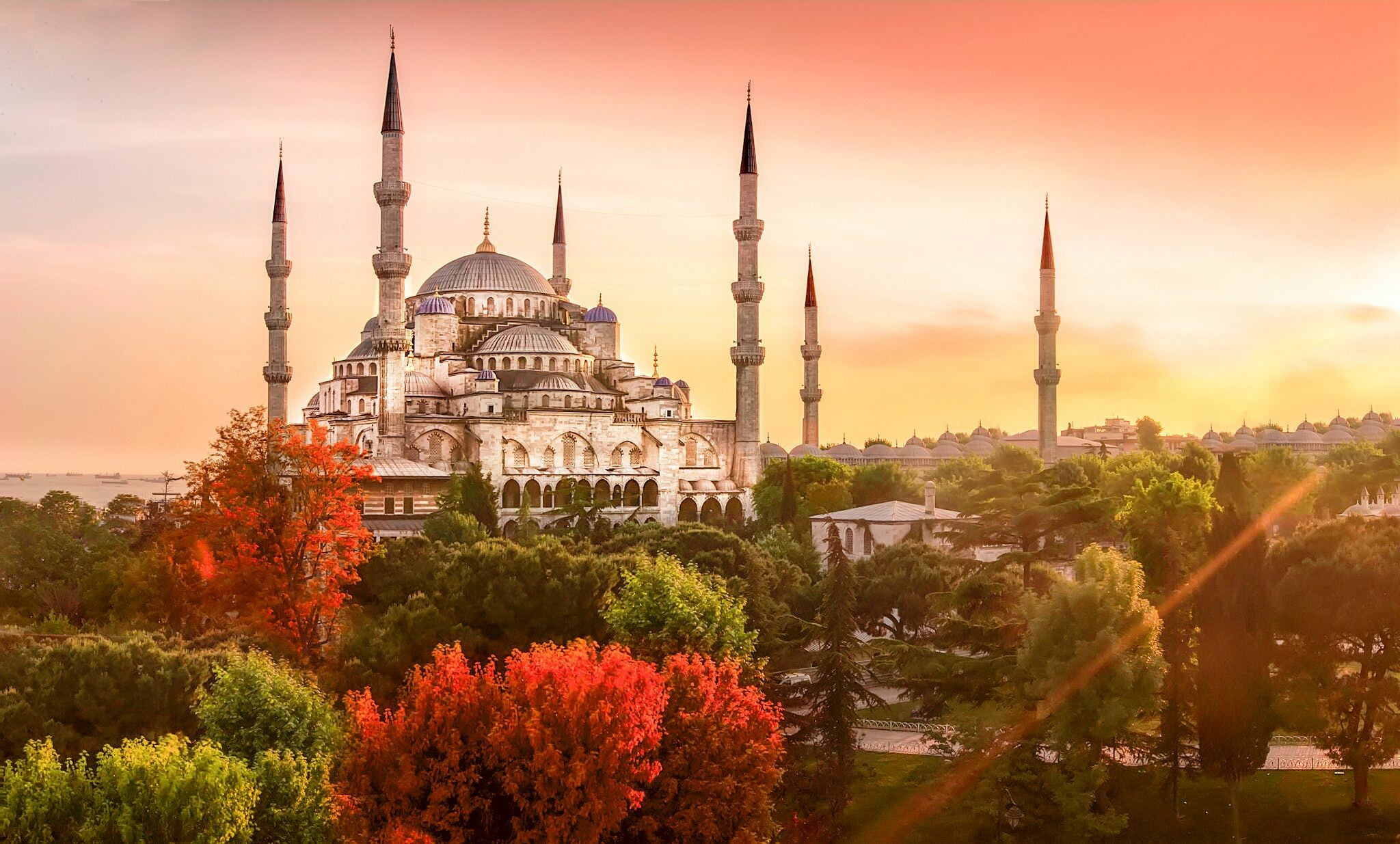 Georgia to Turkey Transfer
